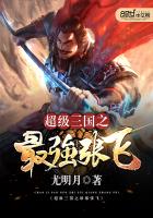 The strongest Zhang Fei of the Super Three Kingdoms